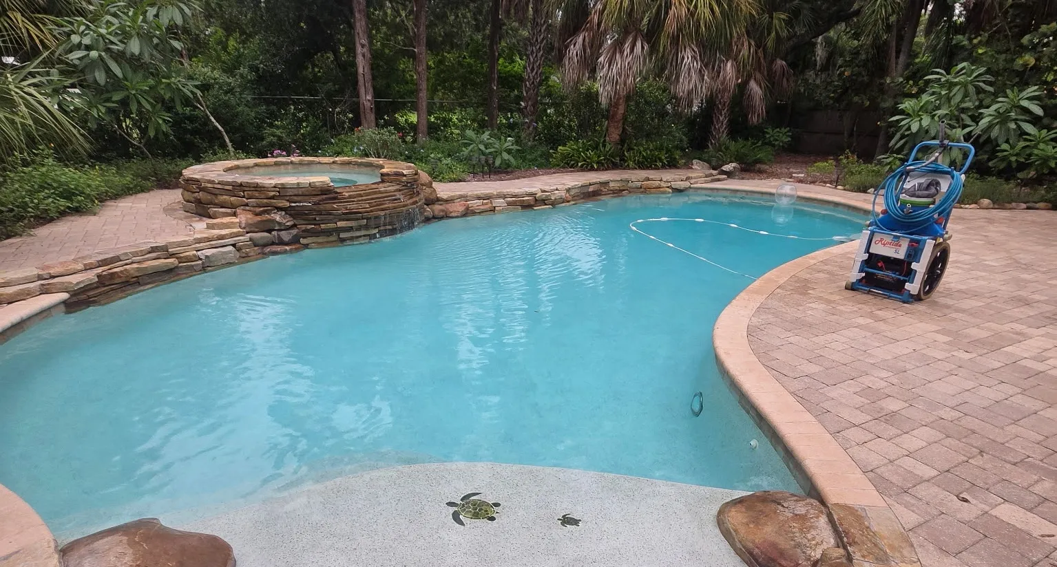 A free-form backyard pool with a raised stone spa and turtle mosaics, with a pool vacuum cart parked on the paver deck